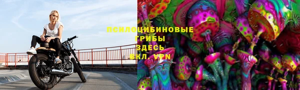 спиды Заводоуковск