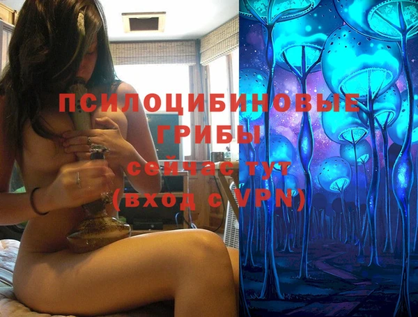 спиды Заводоуковск