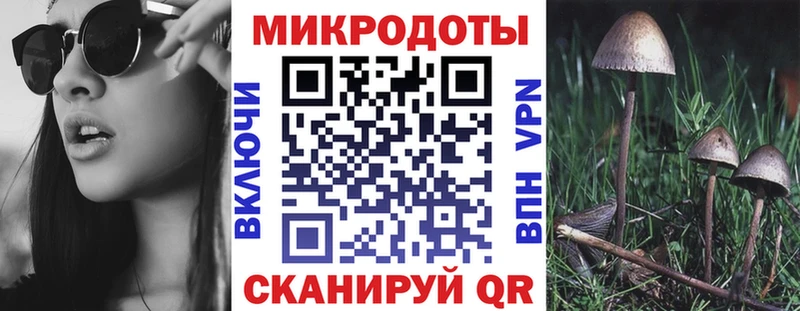 MEGA ссылка  Бердск  Галлюциногенные грибы мухоморы  дарнет шоп 